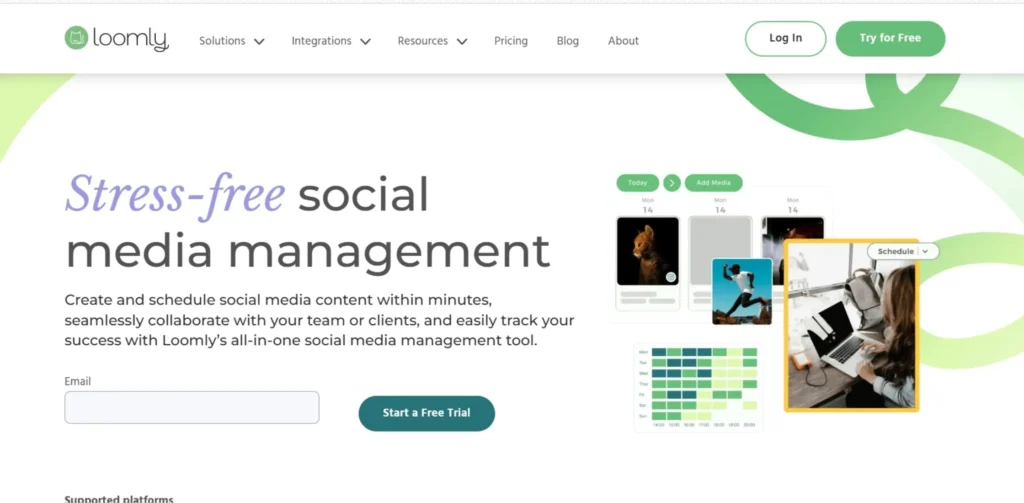 All SMO Tools - Loomly