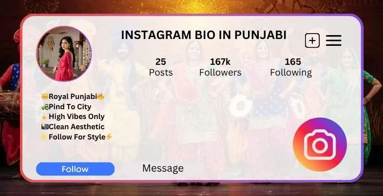 Instagram Bio in Punjabi
