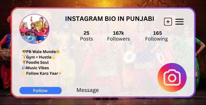 Instagram Bio in Punjabi