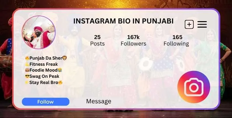 Instagram Bio in Punjabi